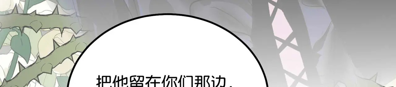 96 愿望与战书 第249页