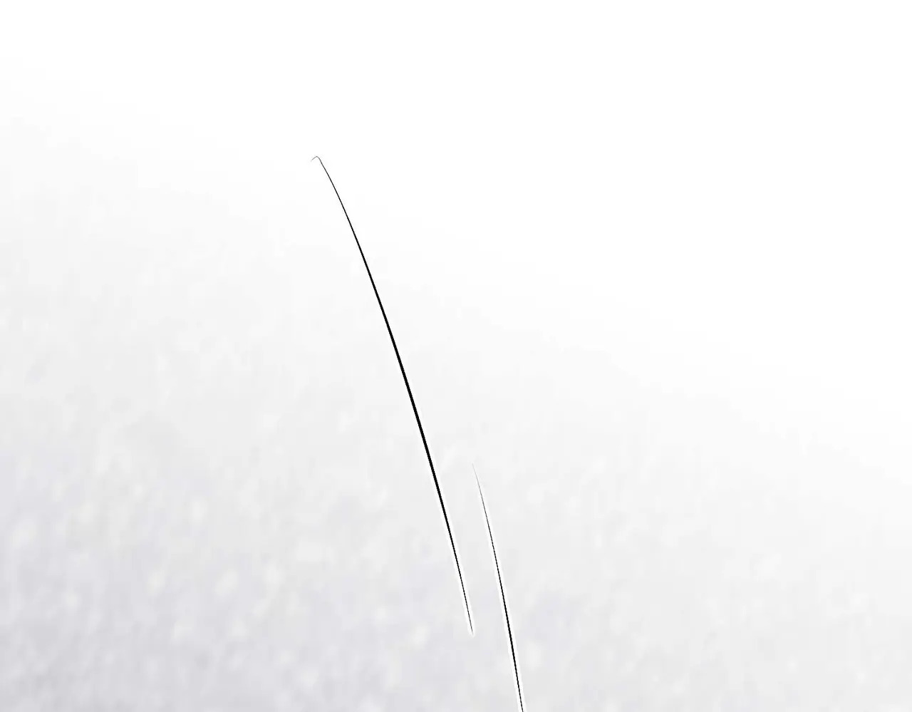 98坚持的理由 第289页