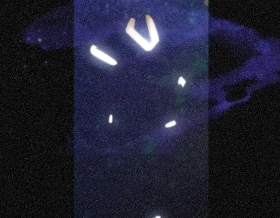 05 喂食 第116页