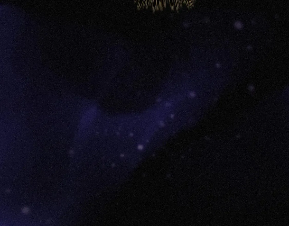 10 失控 第11页