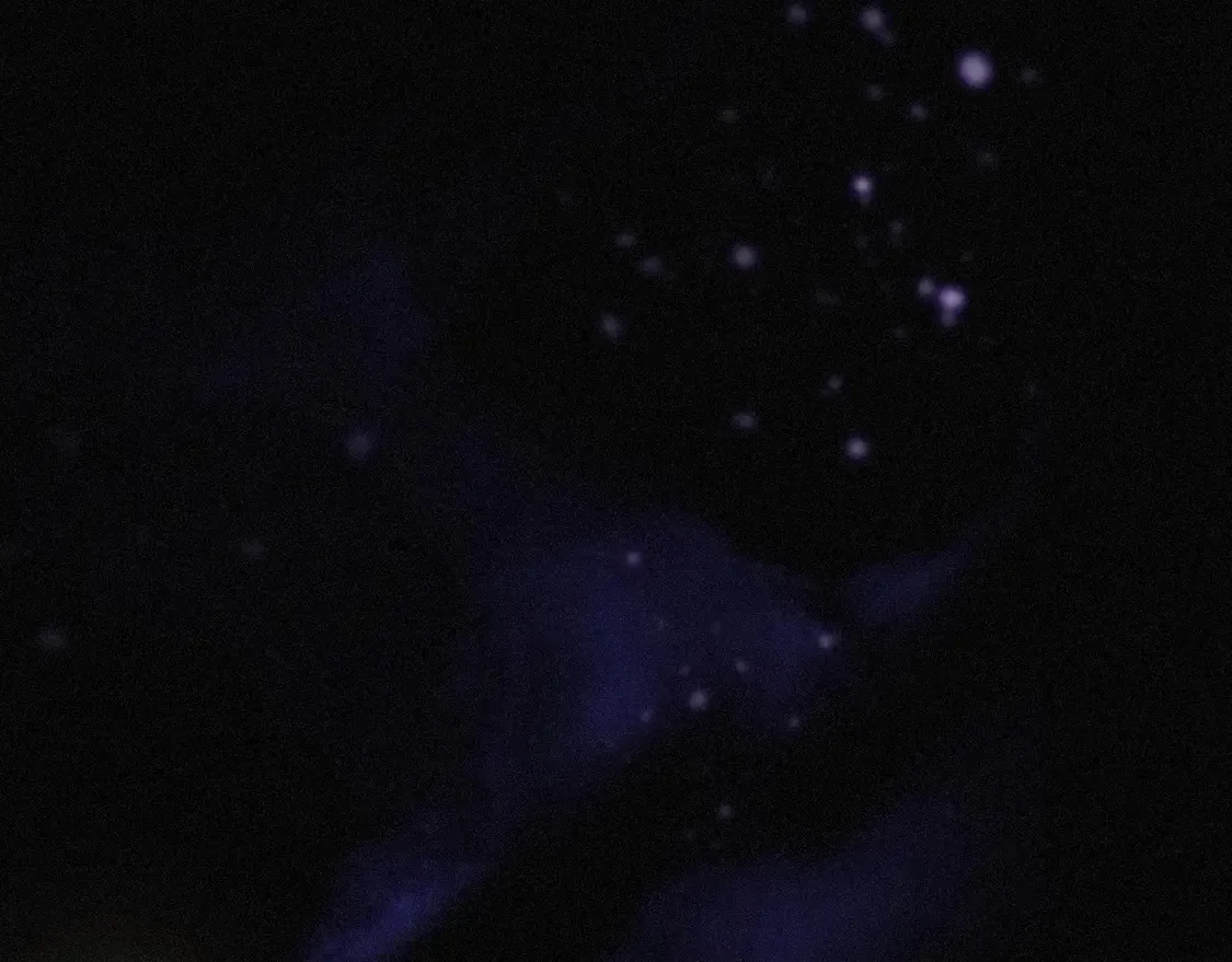 10 失控 第32页