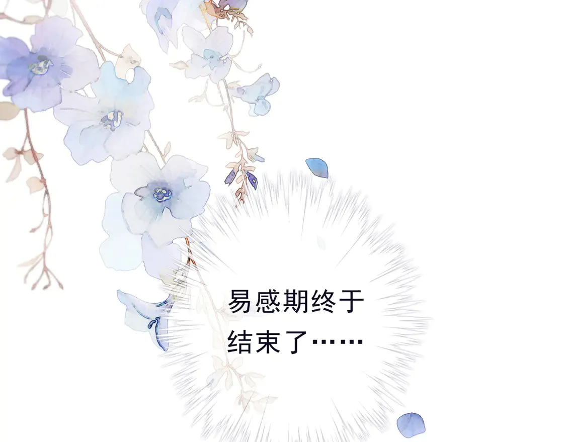 第13话 金色的小鸟 第2页
