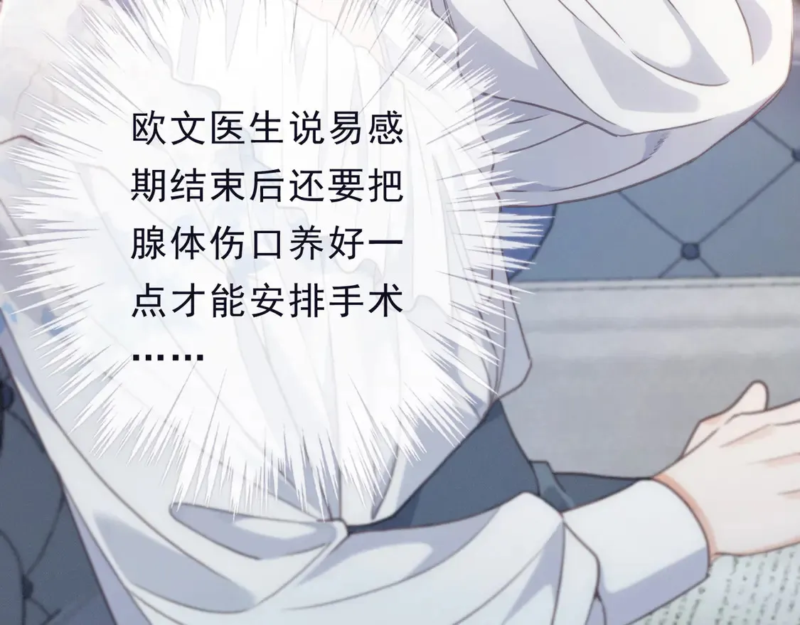 第13话 金色的小鸟 第11页