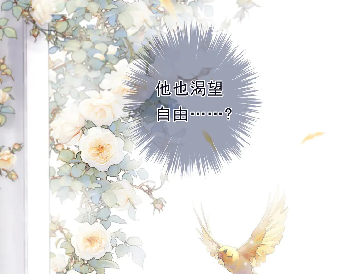 第13话 金色的小鸟 第45页
