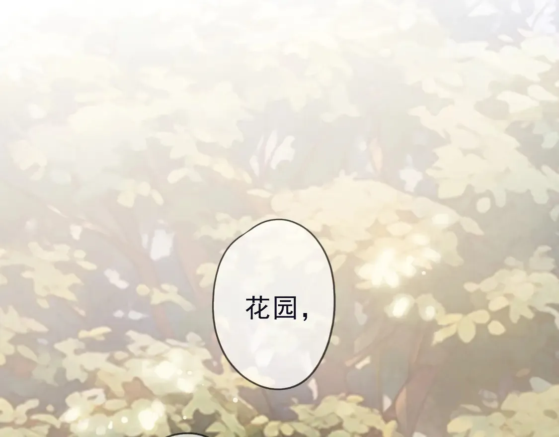 第13话 金色的小鸟 第106页