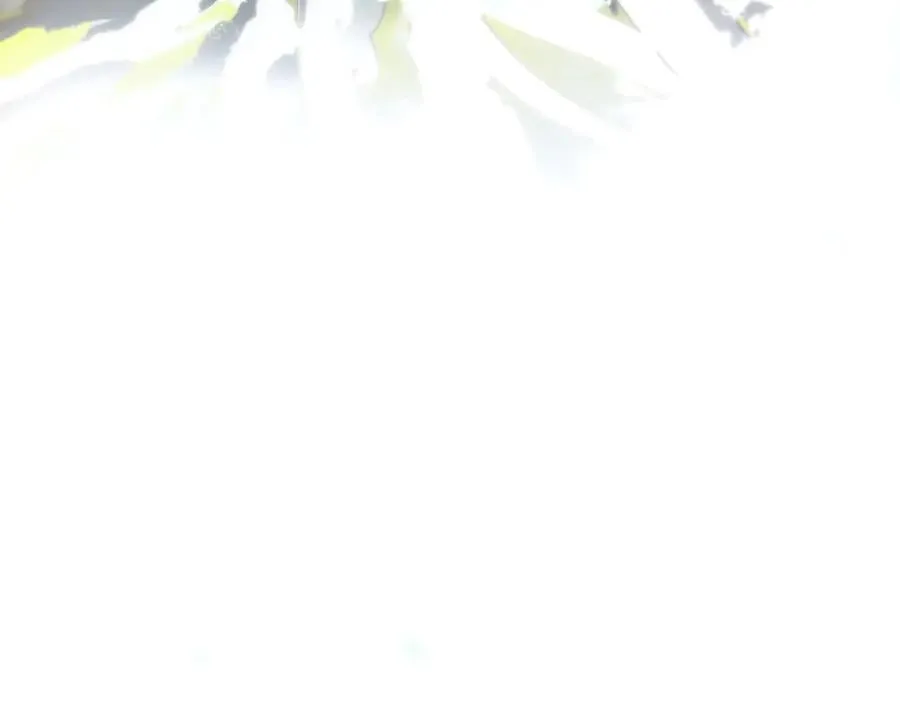 第46话 守护 第96页