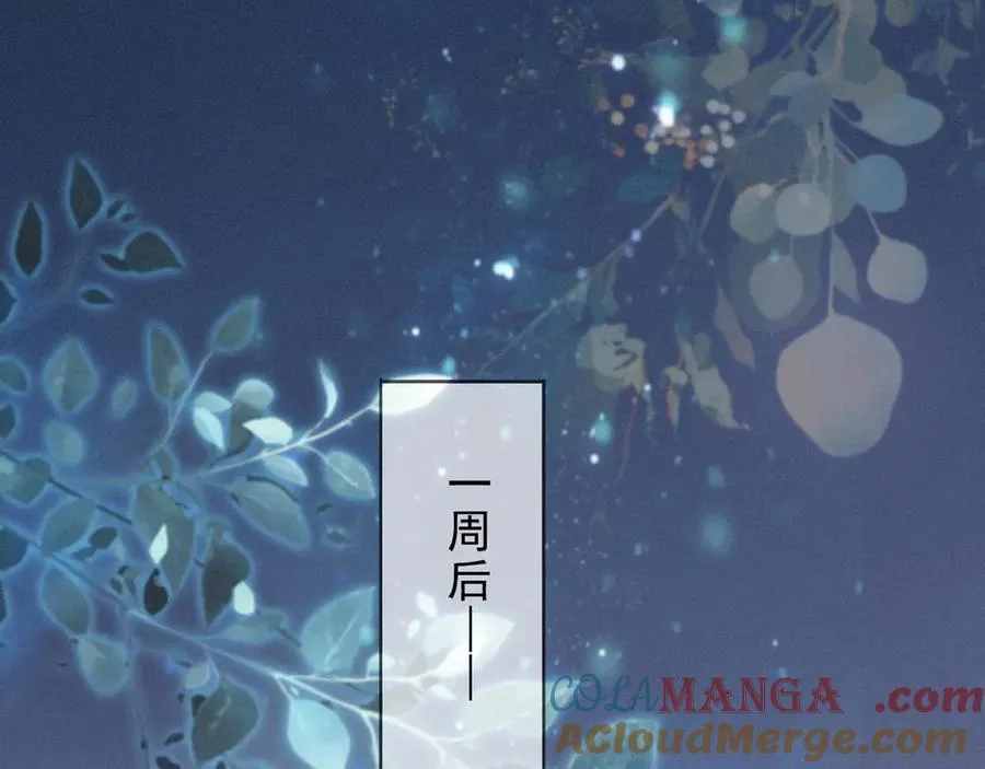 第65话 月夜 第89页
