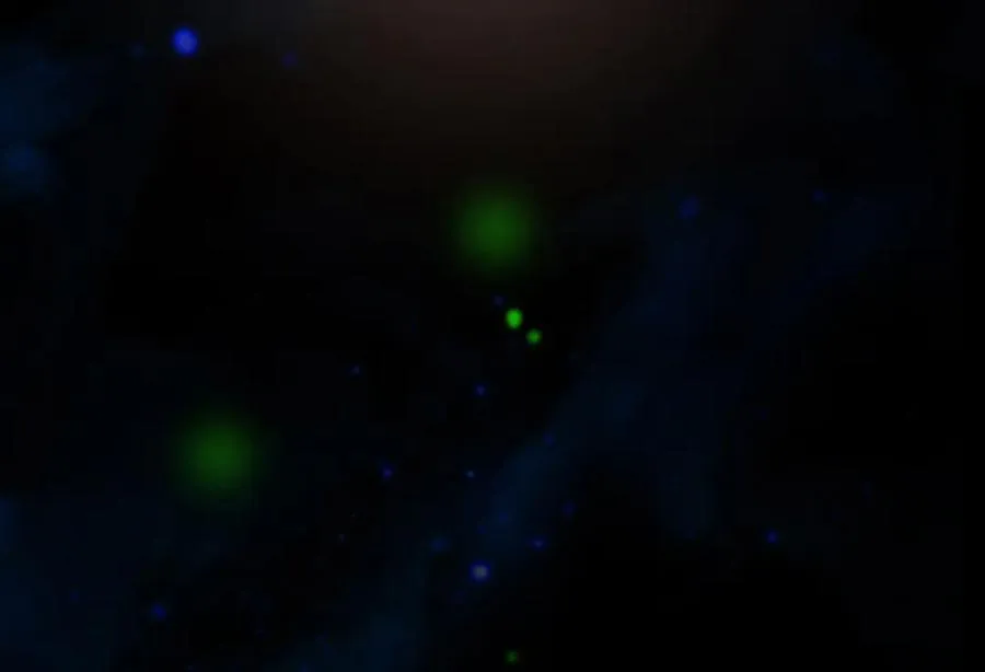 第66话 犯规 第75页