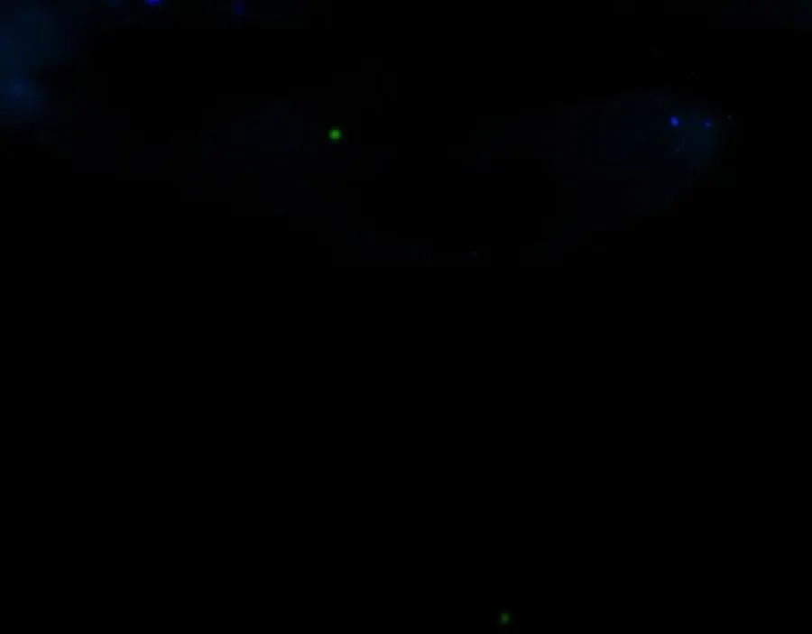 第66话 犯规 第82页