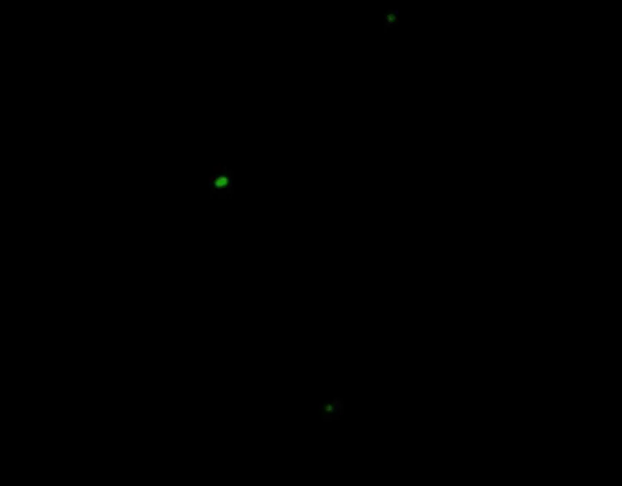 第66话 犯规 第83页