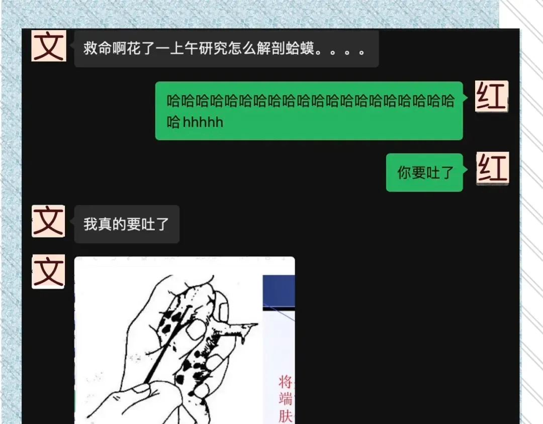 告白路透社！ 第13页
