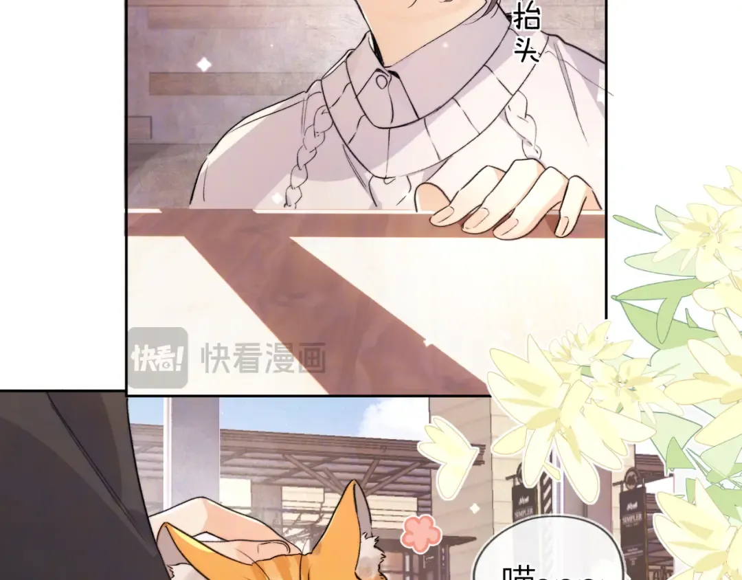 第四十七话 你的猫？ 第71页