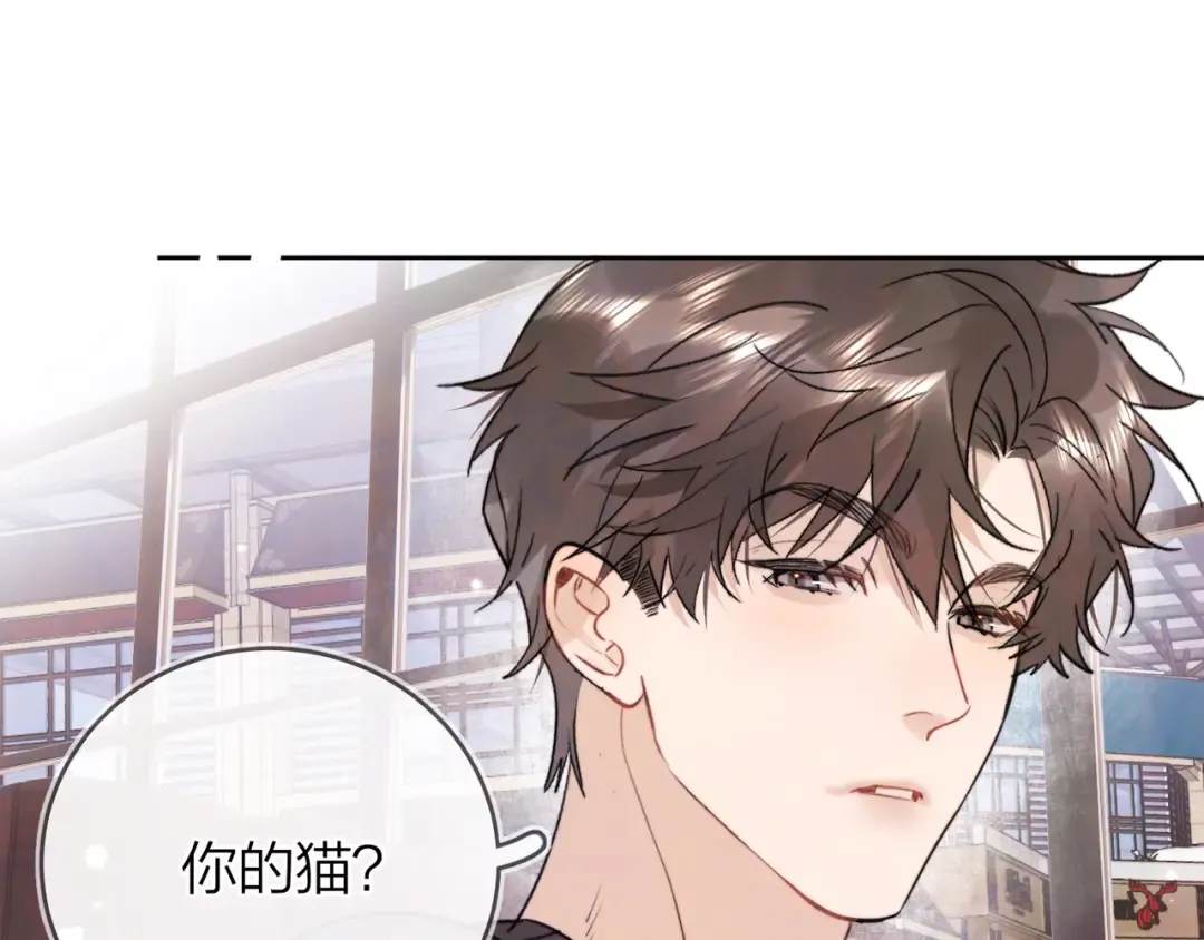 第四十七话 你的猫？ 第78页