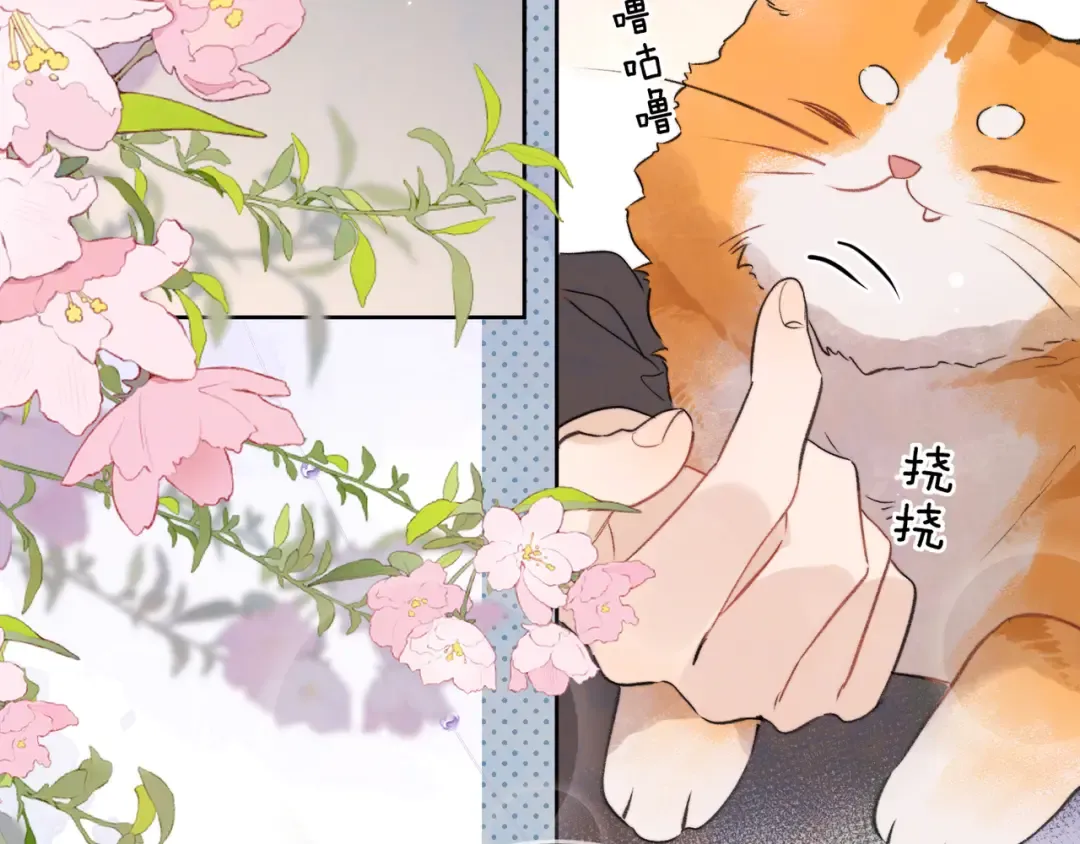 第四十七话 你的猫？ 第82页