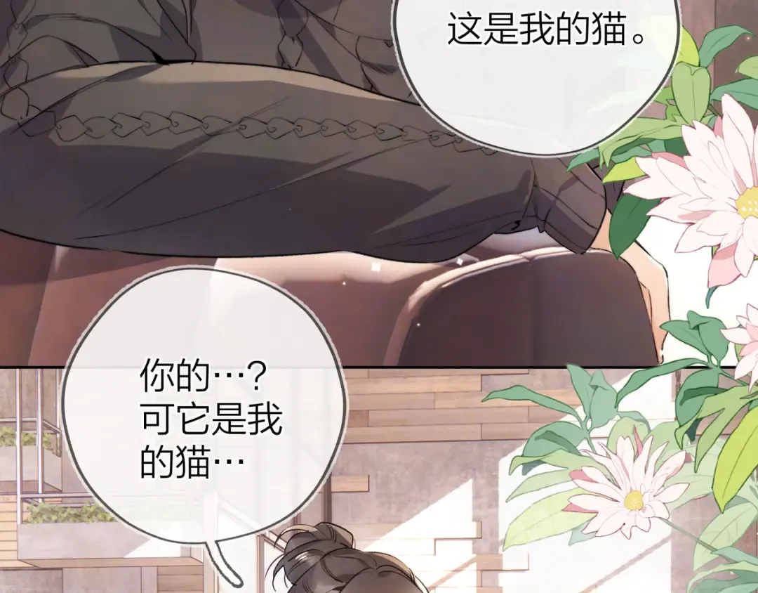 第四十八话 你们俩的猫 第6页