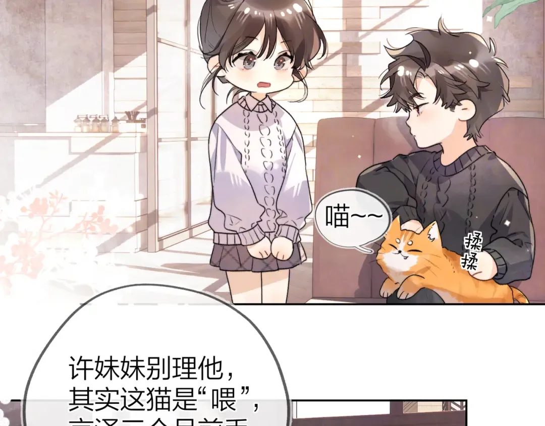 第四十八话 你们俩的猫 第7页