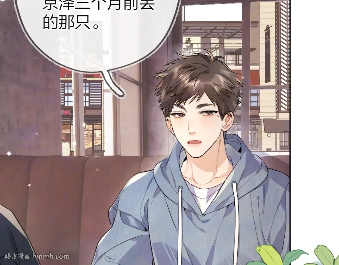 第四十八话 你们俩的猫 第8页