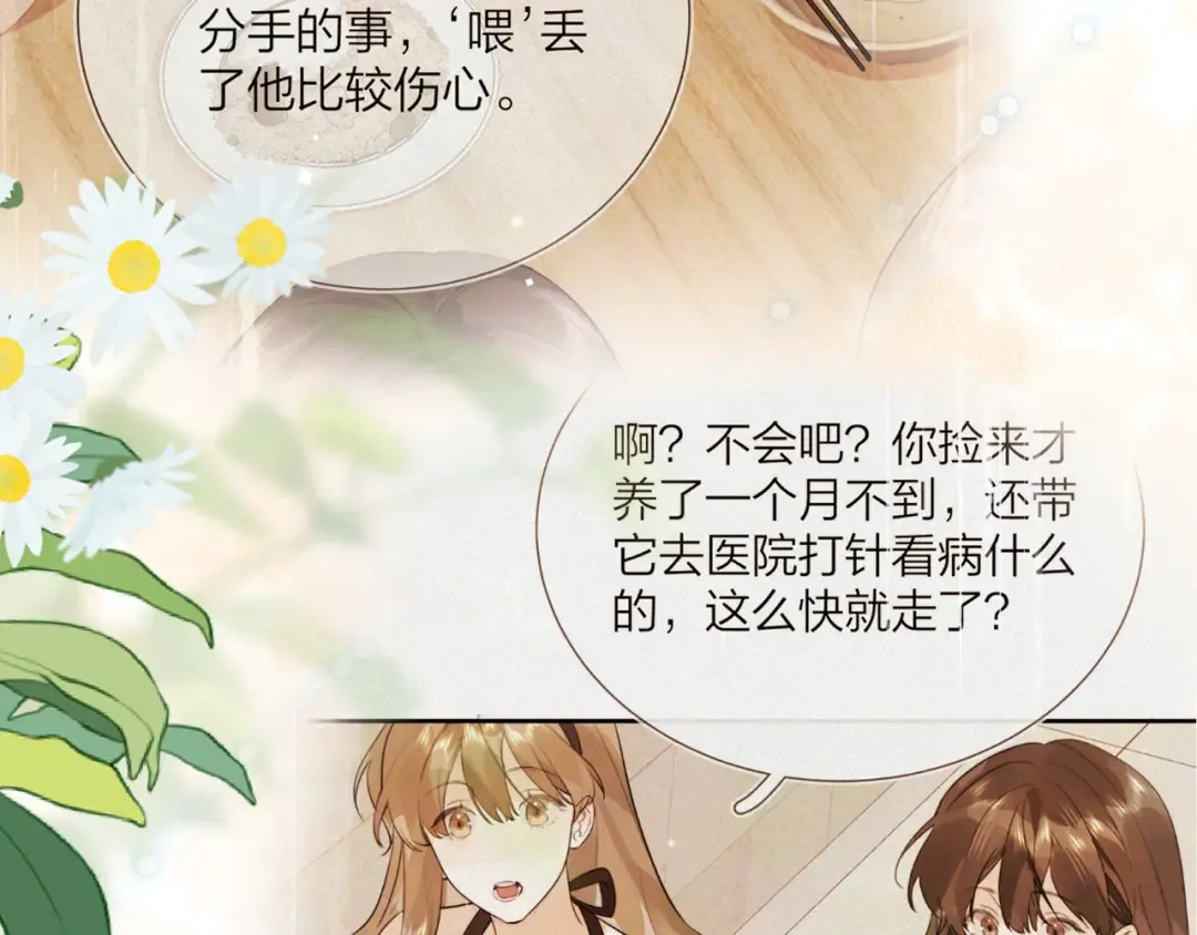 第四十八话 你们俩的猫 第12页