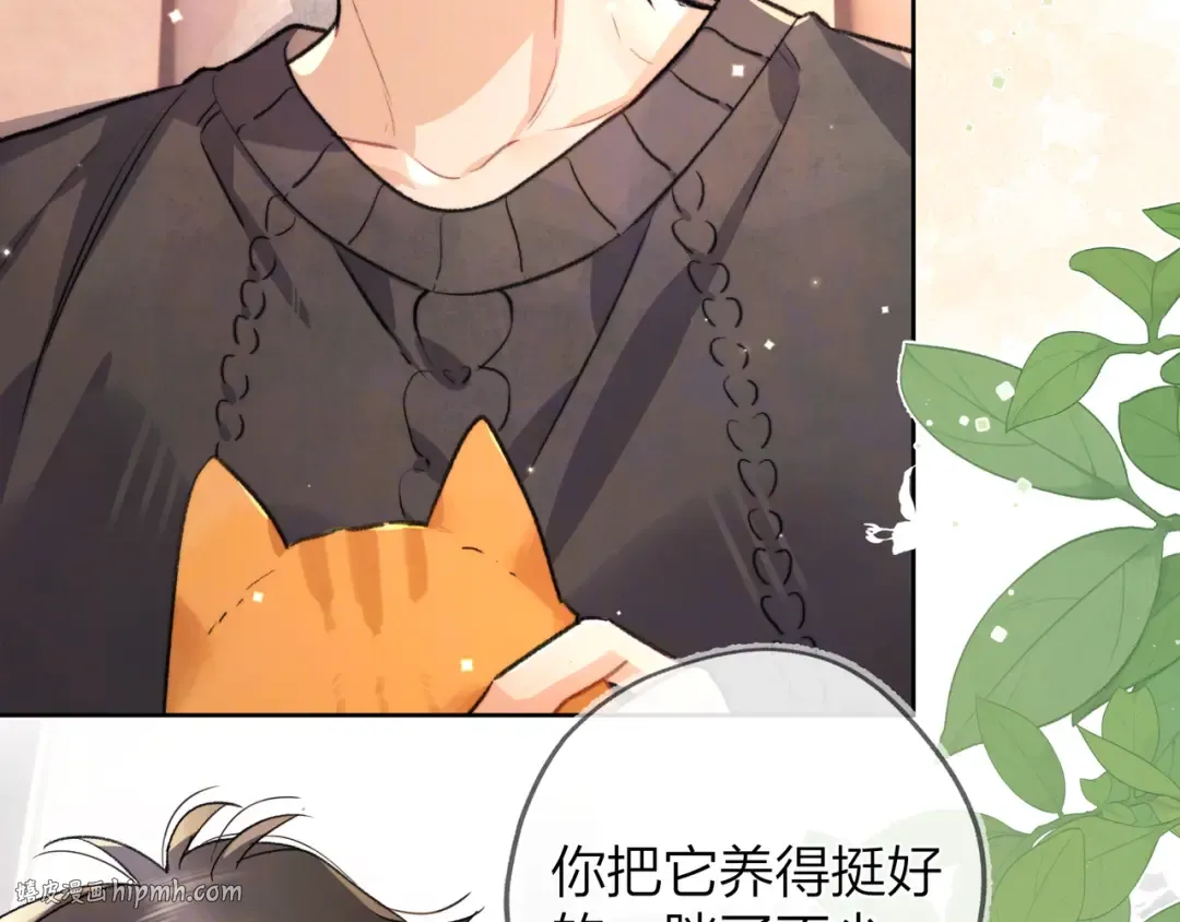 第四十八话 你们俩的猫 第24页