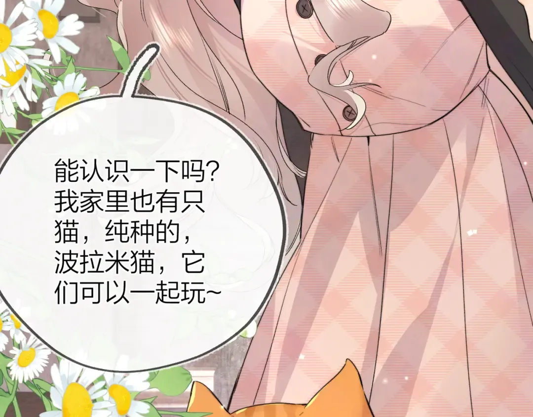 第四十八话 你们俩的猫 第37页