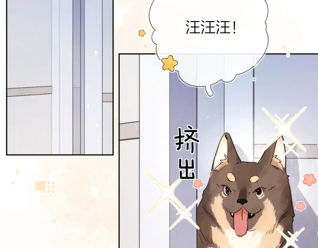 第四十八话 你们俩的猫 第47页