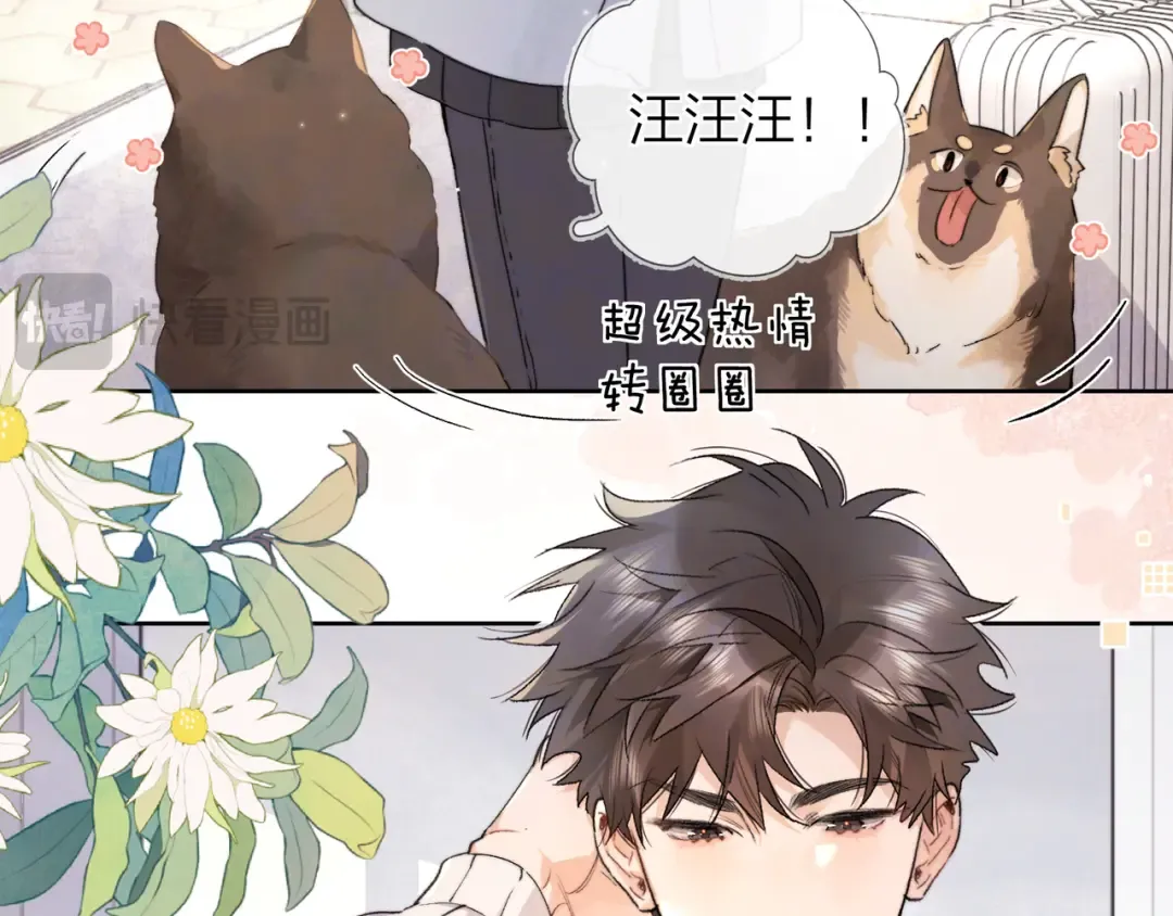 第四十八话 你们俩的猫 第50页