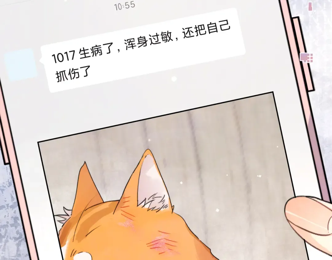 第五十话 别急 第13页