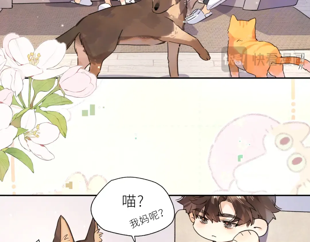 番外7 最近很忙？ 第14页