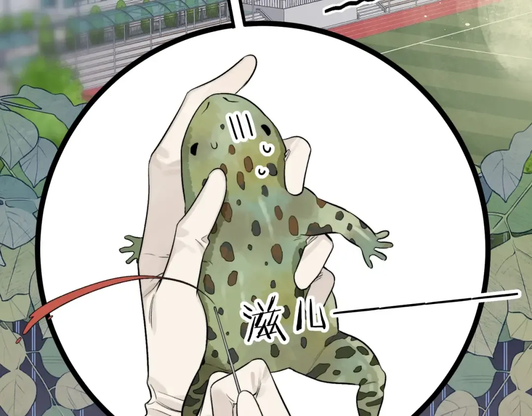第4话 你喜欢什么样的？ 第31页
