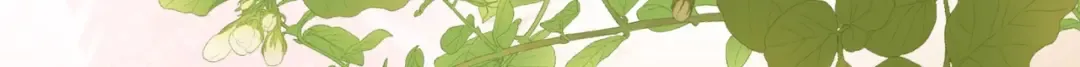 第十一话 真巧 第19页