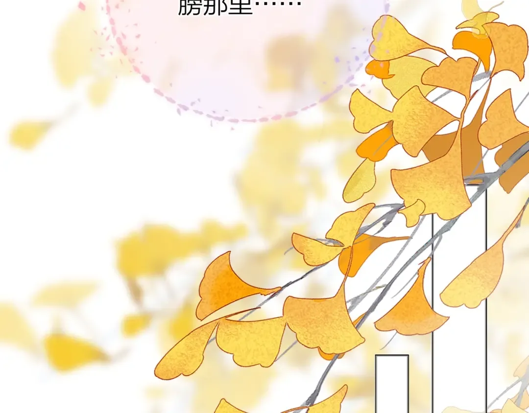 第二十三话 光明正大地看他 第11页