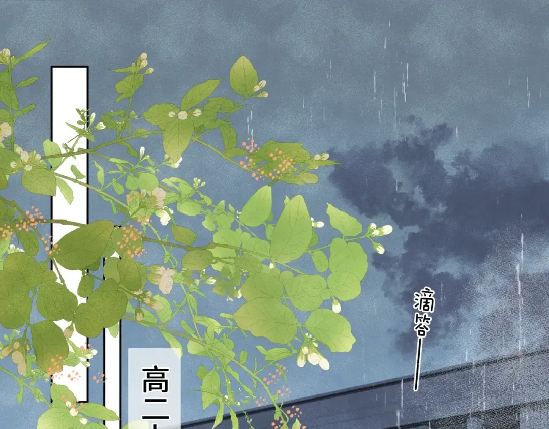 第二十三话 光明正大地看他 第51页