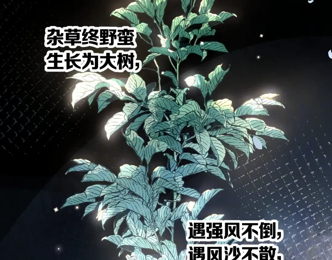 第八十五话 “每一阵风过， 我们都互相致意” 第34页