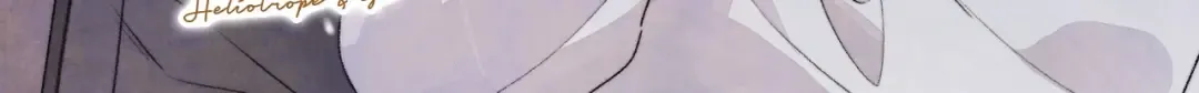 彩蛋 预告&福利放送 第19页
