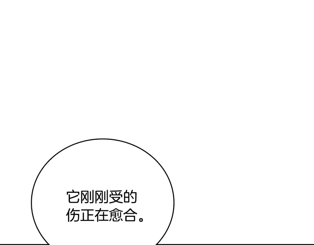 第99话 域外升级 第151页