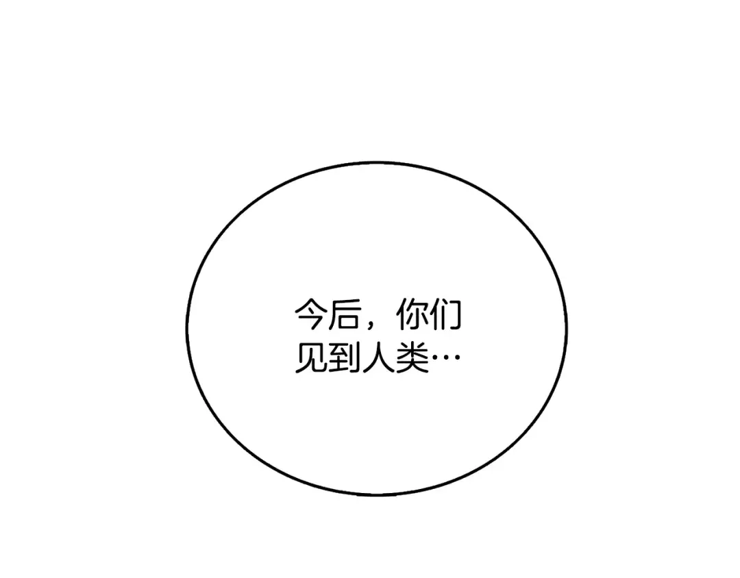 第51话 合作 第182页