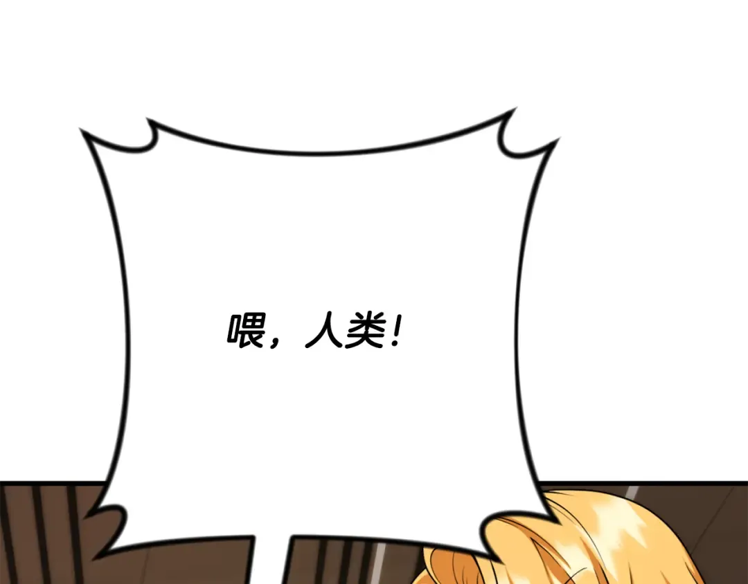 第32话 新生命的诞生 第146页