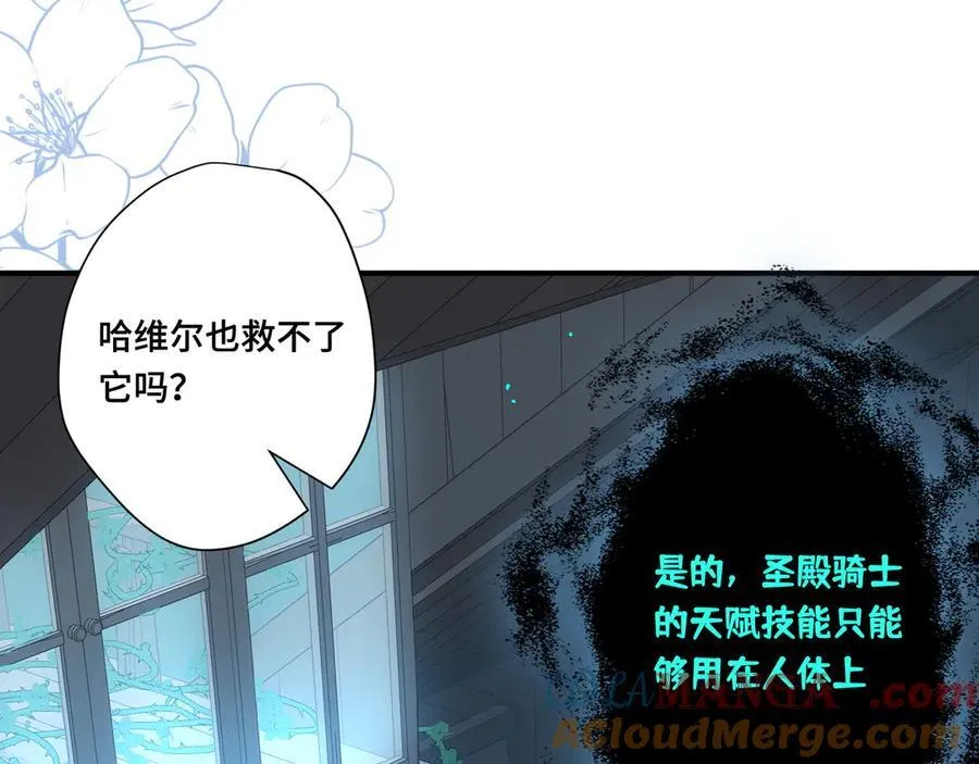 第十二话 魔法 第73页