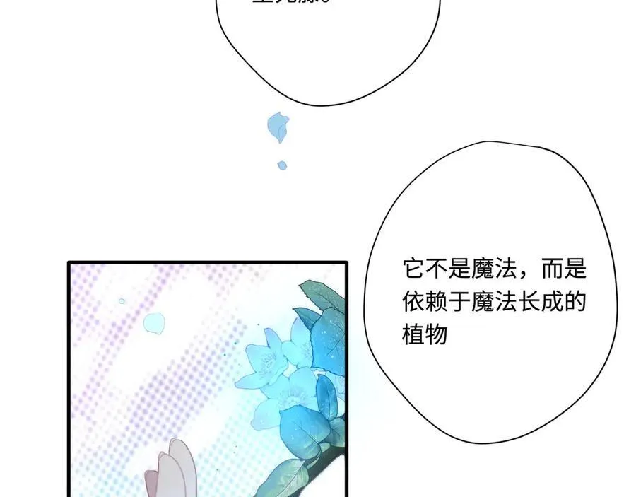 第十三话 尼尔丝老师？ 第2页
