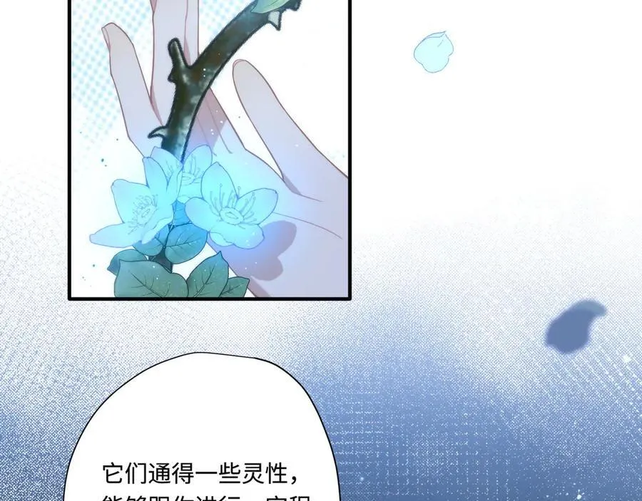 第十三话 尼尔丝老师？ 第3页