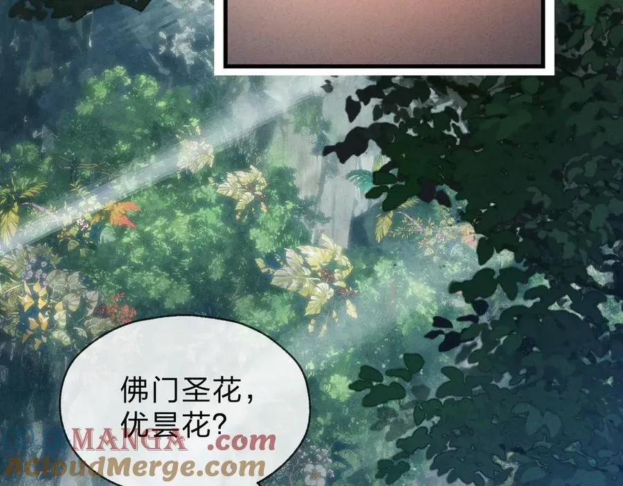 第46话 我要和师兄拜天地！ 第65页