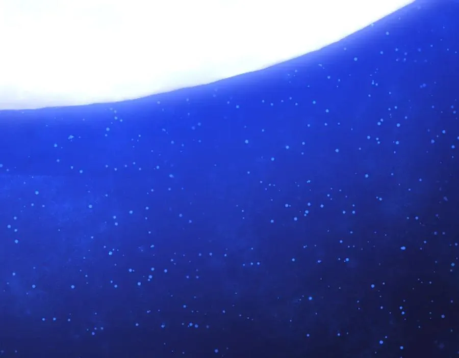 第69话 今夜任君采撷 第55页