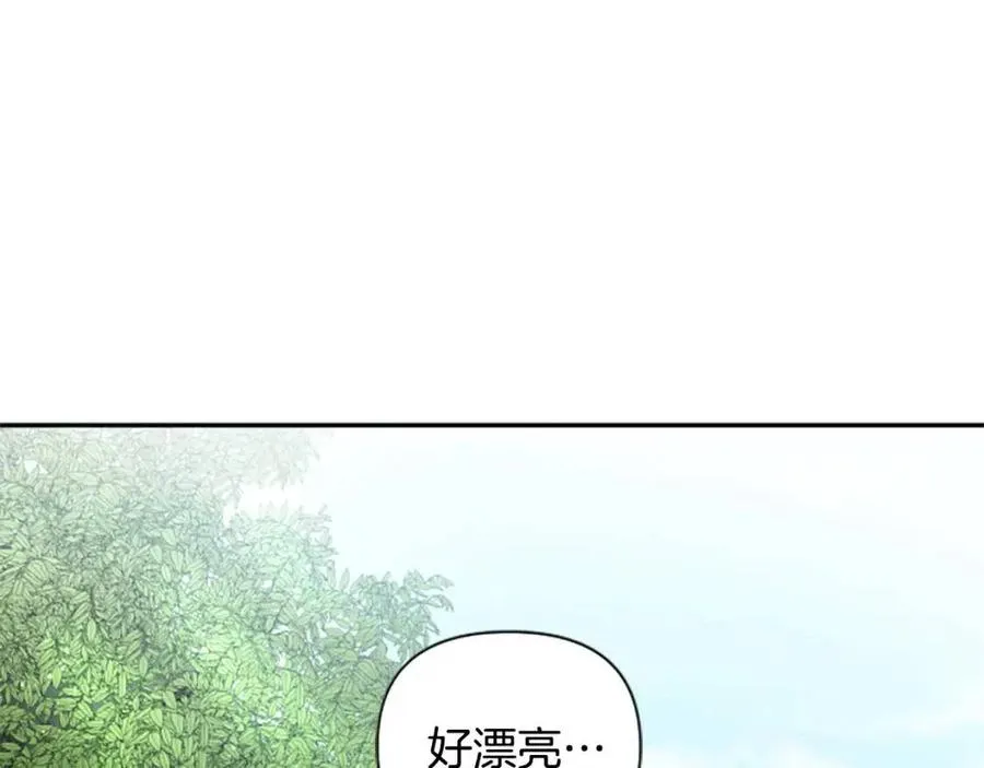 第38话 美丽狮鹫 第70页