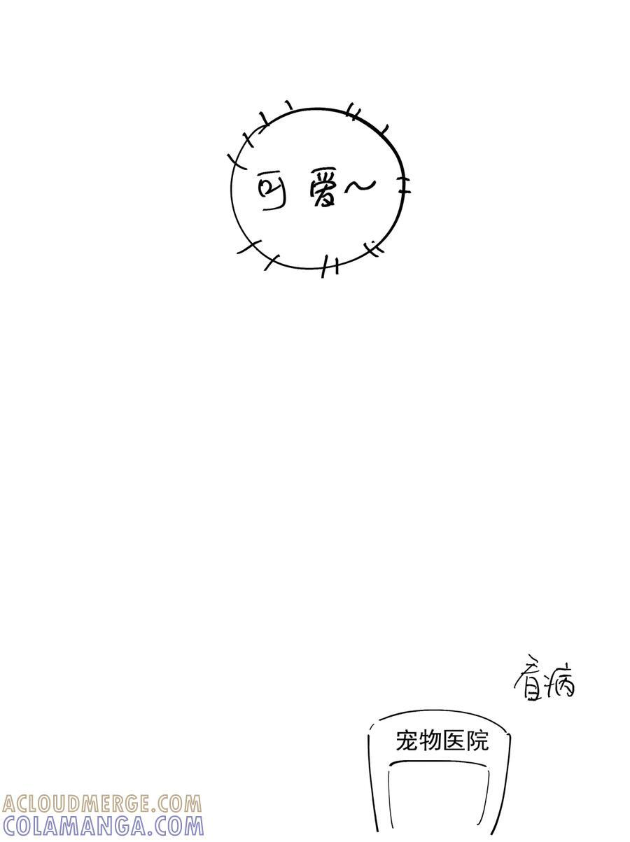延更通知& 请假猫猫小剧场~ 第4页