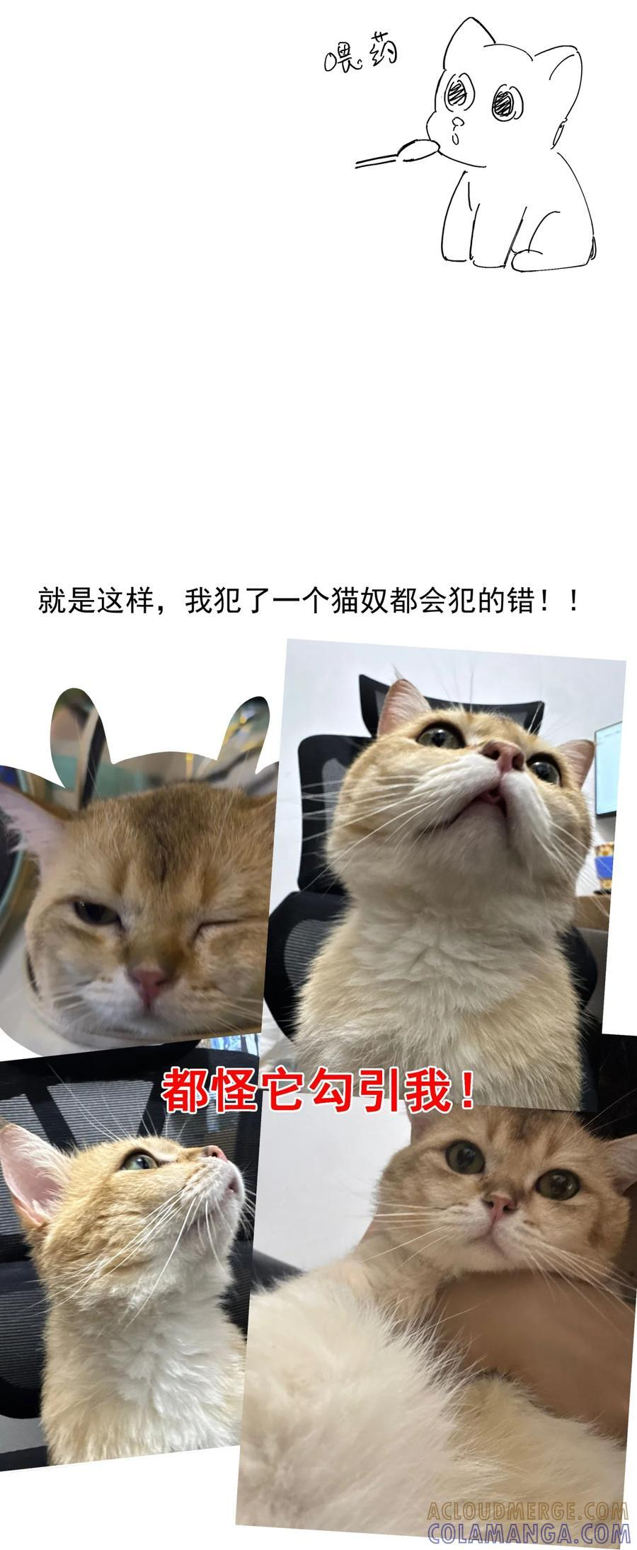 延更通知& 请假猫猫小剧场~ 第6页
