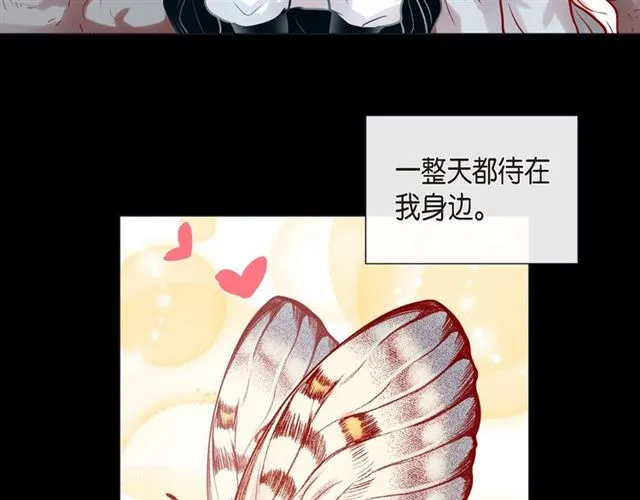 第25话 粘人的小蝴蝶 第26页