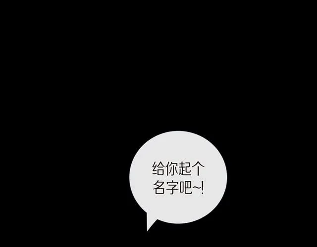 第25话 粘人的小蝴蝶 第29页