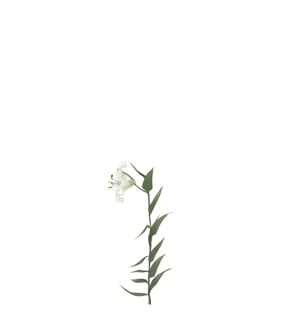 006 生日礼物 第1页