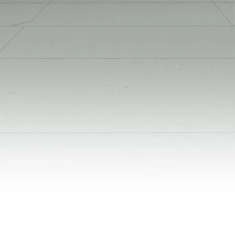 008 我不了解她的过去 第29页
