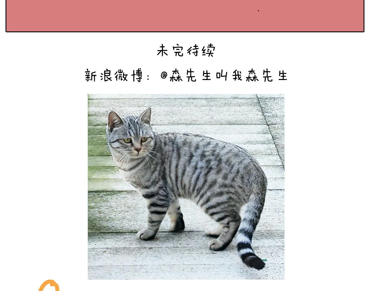 第421话 与猫大战 第48页